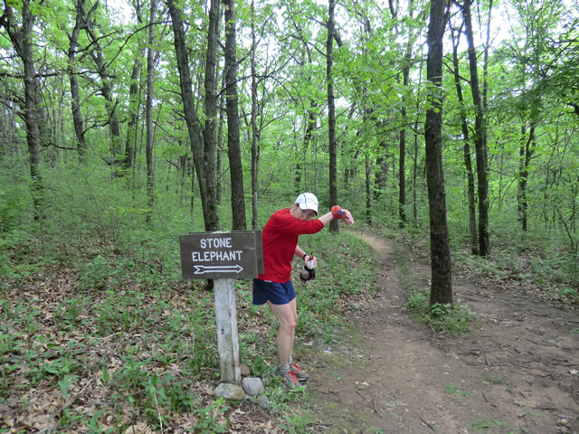 Mary's Solo Ice Age Trail 50 Mile Run : Saturday May 28, 2011