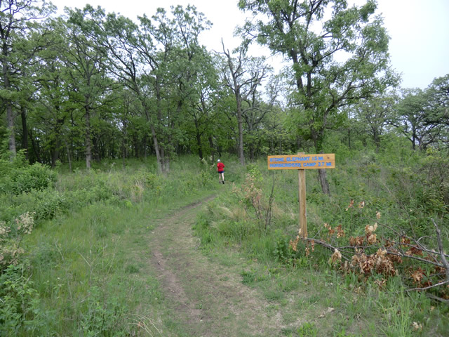Mary's Sol Ice Age Trail 50 Mile Run : Saturday May 28, 2011