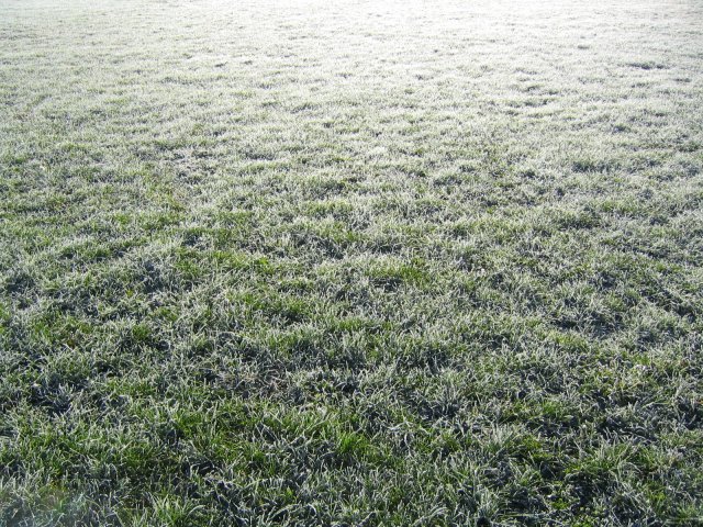 I think it's snow!!