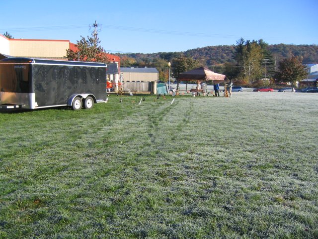 Plenty c-c-c-cold here in PA this morning!