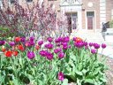 Saturday May 2nd, 2009