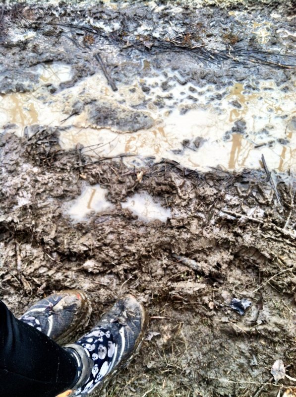 Mud!