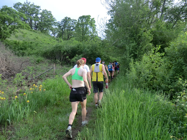 Saturday June 1st - Bluff Road Aid Station: 7.6 Miles
