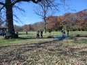 Club Cross Country : Saturday November 9, 2013