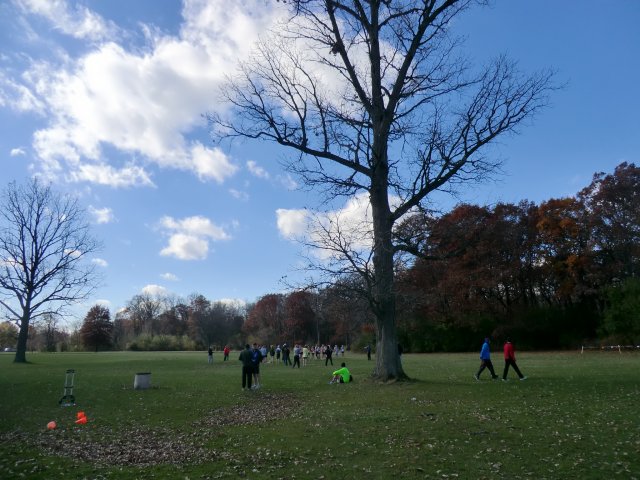 Club Cross Country : Saturday November 9, 2013