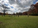 Club Cross Country : Saturday November 9, 2013