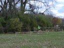 Club Cross Country : Saturday November 9, 2013
