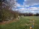 Club Cross Country : Saturday November 9, 2013
