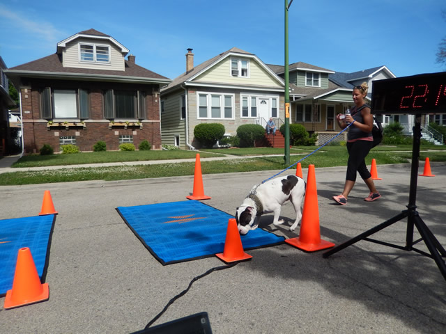 Action at the Finish Line : Saturday June 14th, 2014