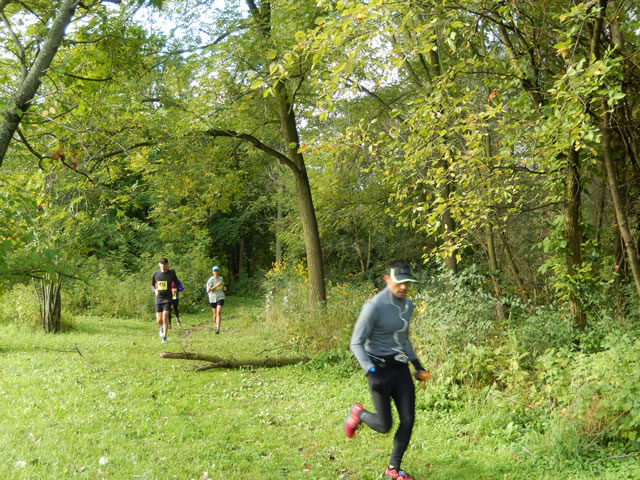 Terra Sans Pave - Linne Woods : Saturday September 13, 2014