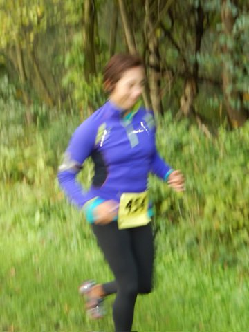 Terra Sans Pave - Linne Woods : Saturday September 13, 2014