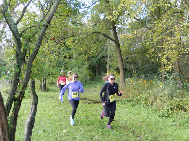 Terra Sans Pave - Linne Woods : Saturday September 13, 2014