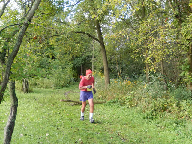 Terra Sans Pave - Linne Woods : Saturday September 13, 2014