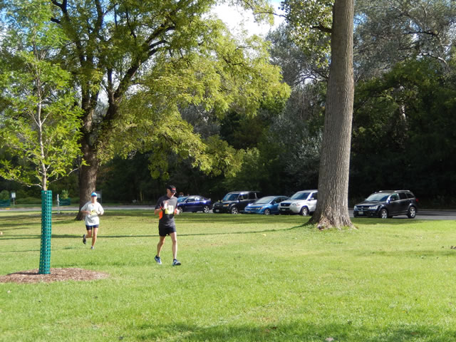 Terra Sans Pave - Linne Woods : Saturday September 13, 2014