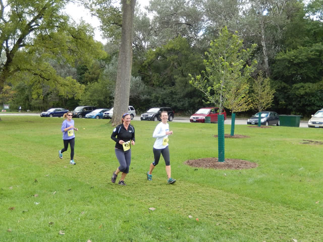 Terra Sans Pave - Linne Woods : Saturday September 13, 2014