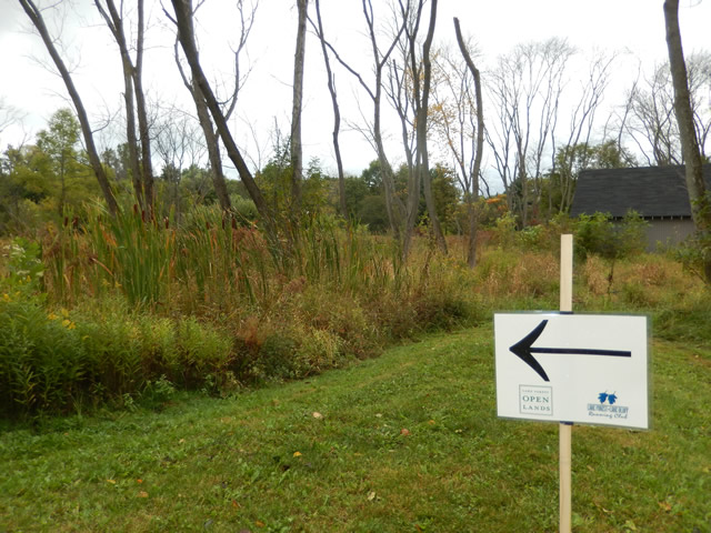 Swinging Bridge 8k Trail Race : Sunday September 21st, 2014