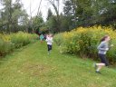 Swinging Bridge 8k Trail Race : Sunday September 21st, 2014