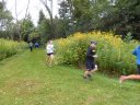 Swinging Bridge 8k Trail Race : Sunday September 21st, 2014