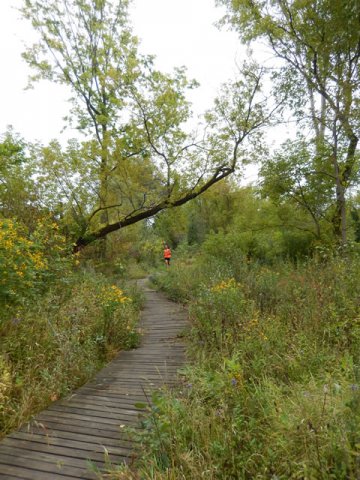 Swinging Bridge 8k Trail Race : Sunday September 21st, 2014