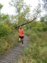 Swinging Bridge 8k Trail Race : Sunday September 21st, 2014