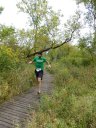 Swinging Bridge 8k Trail Race : Sunday September 21st, 2014