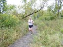 Swinging Bridge 8k Trail Race : Sunday September 21st, 2014