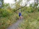 Swinging Bridge 8k Trail Race : Sunday September 21st, 2014