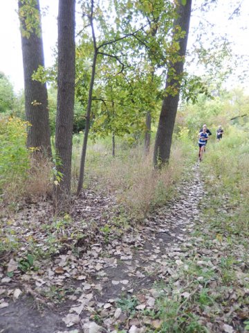 Swinging Bridge 8k Trail Race : Sunday September 21st, 2014