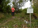 Swinging Bridge 8k Trail Race : Sunday September 21st, 2014