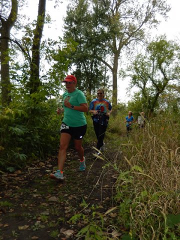 Swinging Bridge 8k Trail Race : Sunday September 21st, 2014