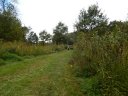 Swinging Bridge 8k Trail Race : Sunday September 21st, 2014