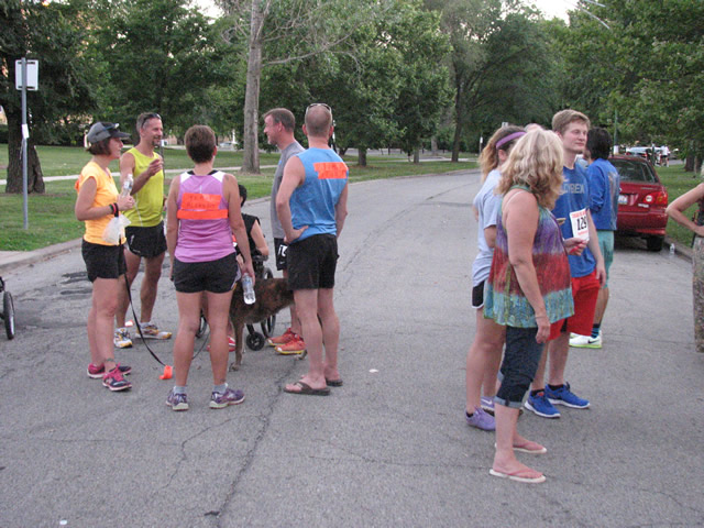 Race Action Near the Finish Area : Wednesday July 29th