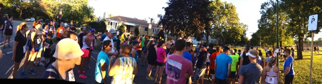 Action as Seen through the Perspective of Karen Davis : Wednesday July 29th