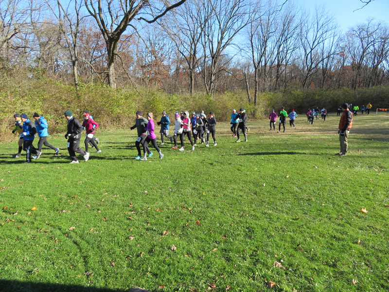 Paleozoic Trail Runs - Ordovician Fall