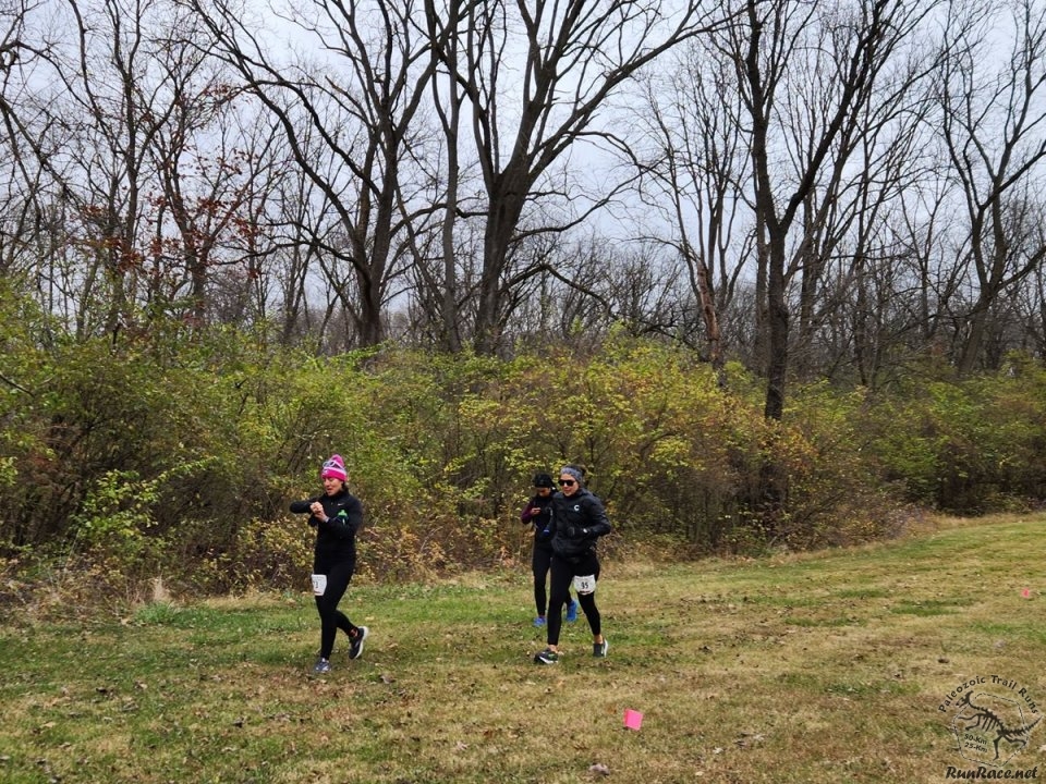 Paleozoic Trail Runs - Permian Fall II