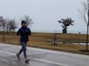 Chicago Lakefront Ultras 50K, 20.7-Mile Buildup Run, Half Marathon