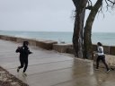 Chicago Lakefront Ultras 50K, 20.7-Mile Buildup Run, Half Marathon