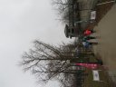 Chicago Lakefront Ultras 50K, 20.7-Mile Buildup Run, Half Marathon :: Start/Finish Area