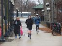 Chicago Lakefront Ultras 50K, 20.7-Mile Buildup Run, Half Marathon :: Start/Finish Area