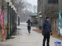 Chicago Lakefront Ultras 50K, 20.7-Mile Buildup Run, Half Marathon :: Start/Finish Area