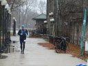 Chicago Lakefront Ultras 50K, 20.7-Mile Buildup Run, Half Marathon :: Start/Finish Area