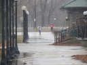 Chicago Lakefront Ultras 50K, 20.7-Mile Buildup Run, Half Marathon :: Start/Finish Area