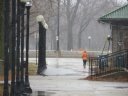 Chicago Lakefront Ultras 50K, 20.7-Mile Buildup Run, Half Marathon :: Start/Finish Area