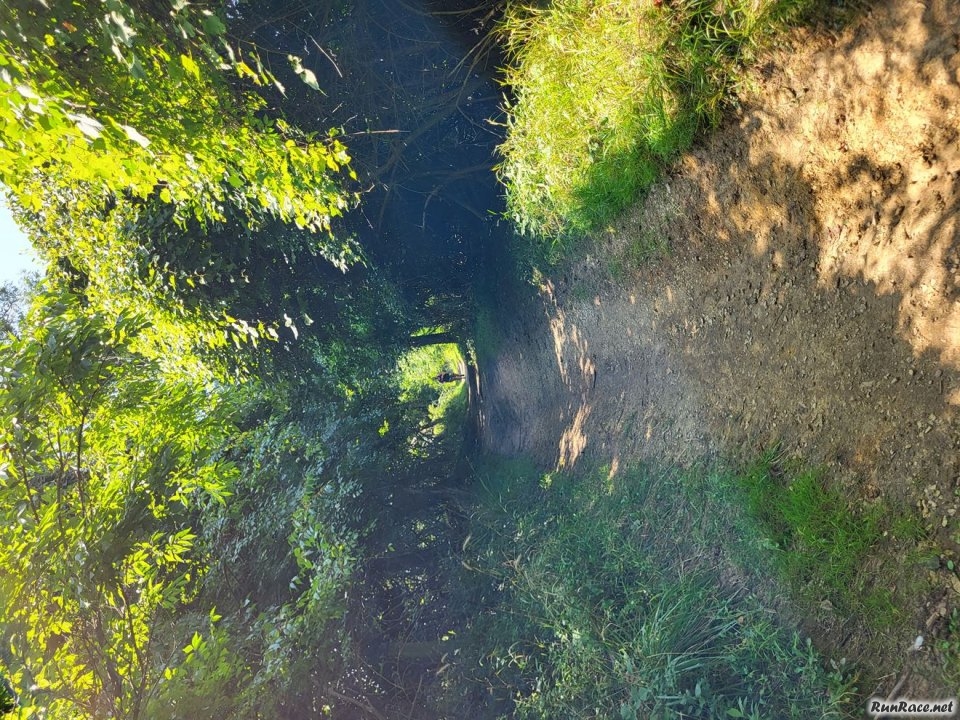Action on the Trails of Terra Sans Pave