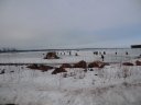 Saturday February 19, 2011 : Pre-race