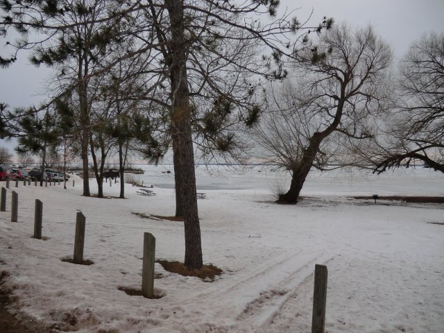 Saturday February 19, 2011 : Pre-race