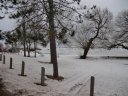 Saturday February 19, 2011 : Pre-race