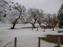 Saturday February 19, 2011 : Pre-race
