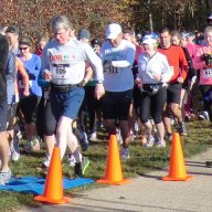 Webcast: Participant Image