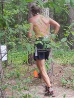 Webcast: Participant Image